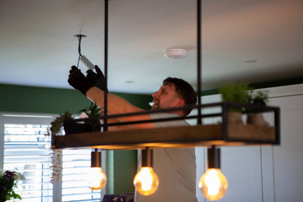 Best Electrician for Home Renovation  in Wagner, SD